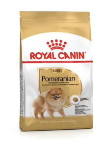 pomeranian-adult-packshot-russie-bhn20