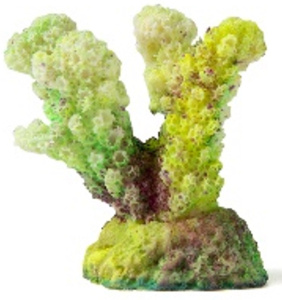 Россия Коралл рога, 5,5*3,5*5