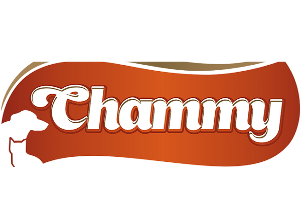 Chammy