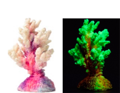 Россия Коралл ветка, 7*7*11