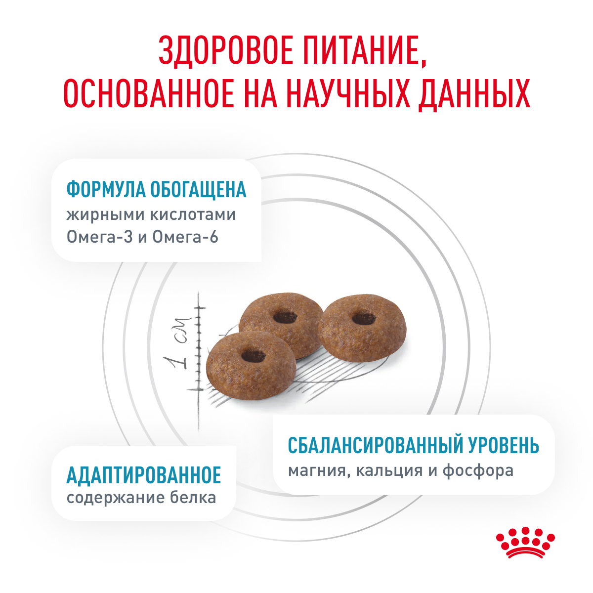 Royal Canin Skin & Coat для поддержания защитных функций кожи