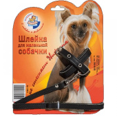 Зооник Шлейка и поводок 1,5 м 