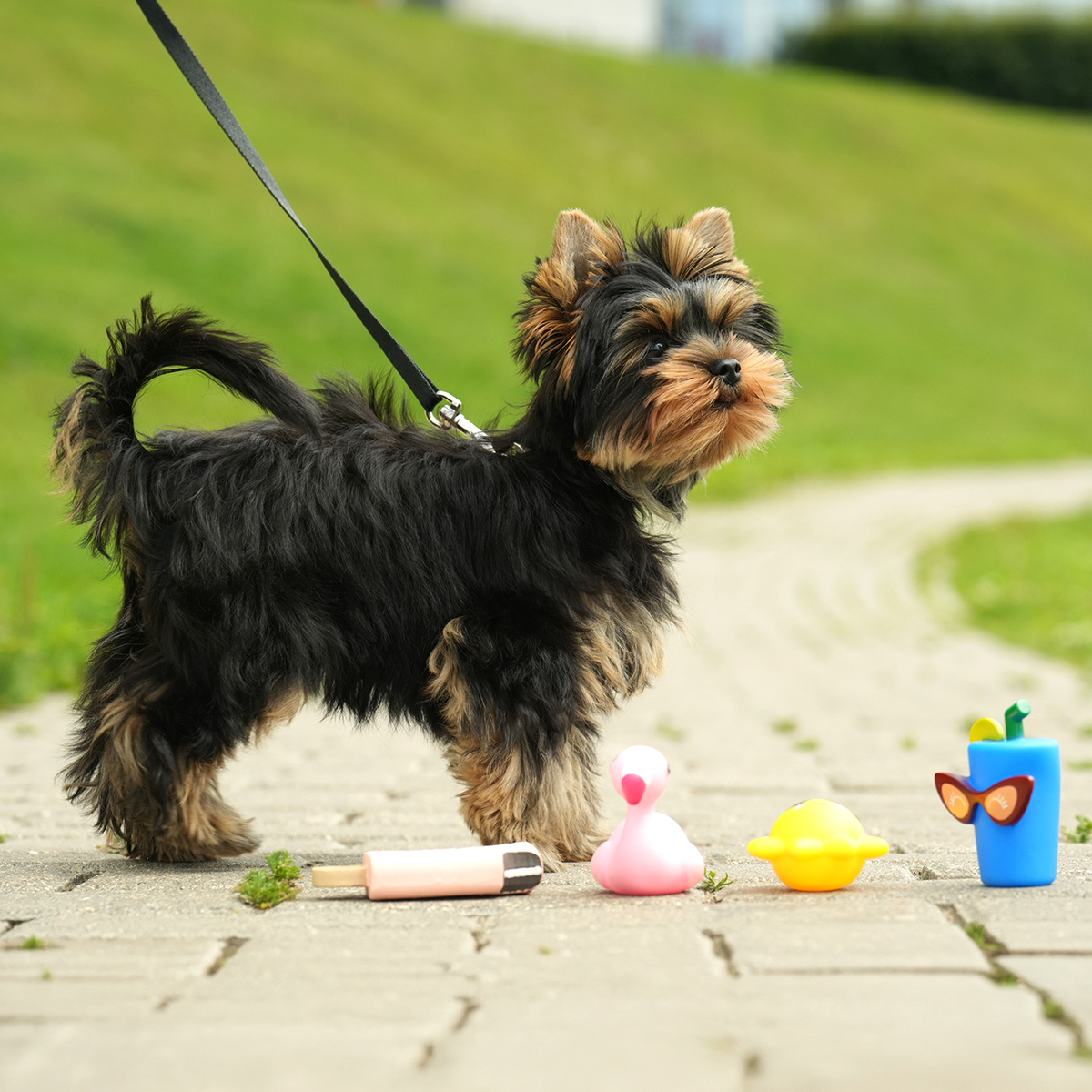Triol Игрушка для собак мелких пород "Фламинго", 70мм, серия MINI DOGS