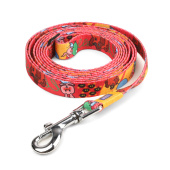 Triol СОЮЗМУЛЬТФИЛЬМ Поводок нейлоновый "Большой секрет" S, красный, 15*2000 мм