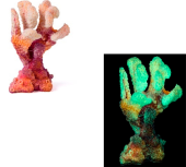 Россия Коралл акрил, 10*6*14