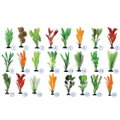 Plant 082