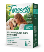 forsecto_01_06