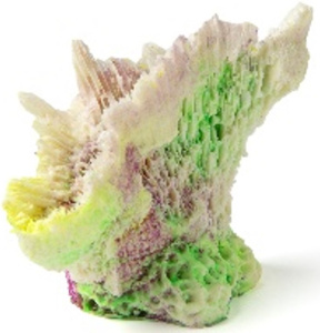 Россия Гониопора, 10*4*7 см