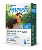 forsecto_01_07