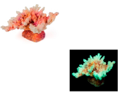 Россия Коралл корона, 13*10*6,5