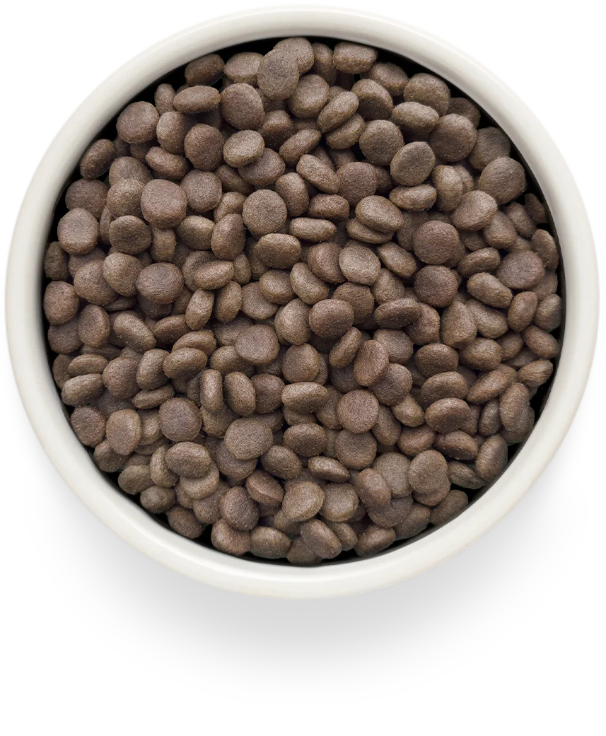 GRANDORF VETERINARY DIET Dog RENAL диетический корм для собак, для поддержания функций почек при хронической болезни почек