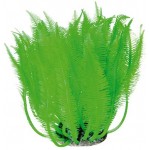 BARBUS 234 коралл зеленый силикон