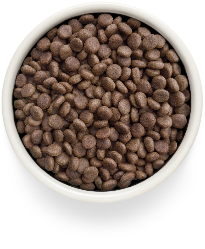 GRANDORF VETERINARY DIET Dog HEPATIC диетический корм для собак, для поддержания функции печени при хронической печеночной недостаточности
