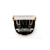 20_v6sq-cn_f4k9-0i.ZV.005