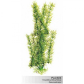 BARBUS 024/30 см Plant зеленое растение
