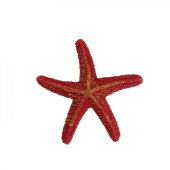 PRIME Декорация пластиковая "Морская звезда", 80*75*15 мм