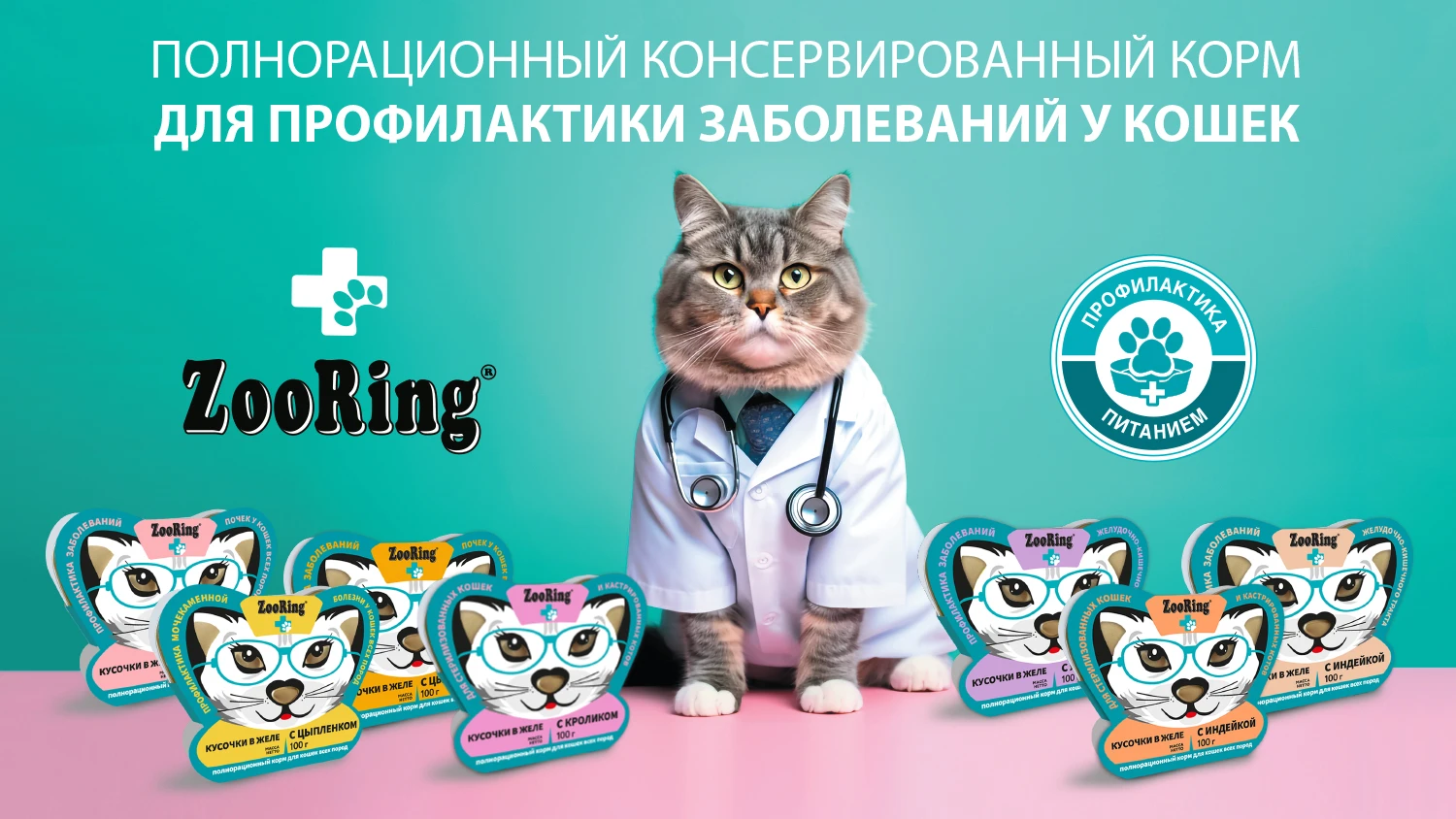 ZOORING АКЦИЯ Консервы для кошек всех пород Кусочки в желе с Телятиной для профилактики заболеваний почек, 100 г