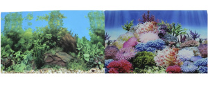 PRIME Фон для аквариума двухсторонний Коралловый рай/Подводный пейзаж 50*100 см