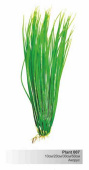BARBUS 007/20 см Plant зеленое растение