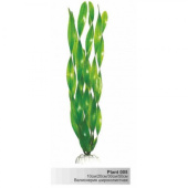 BARBUS 005/30 см Plant широколистное растение