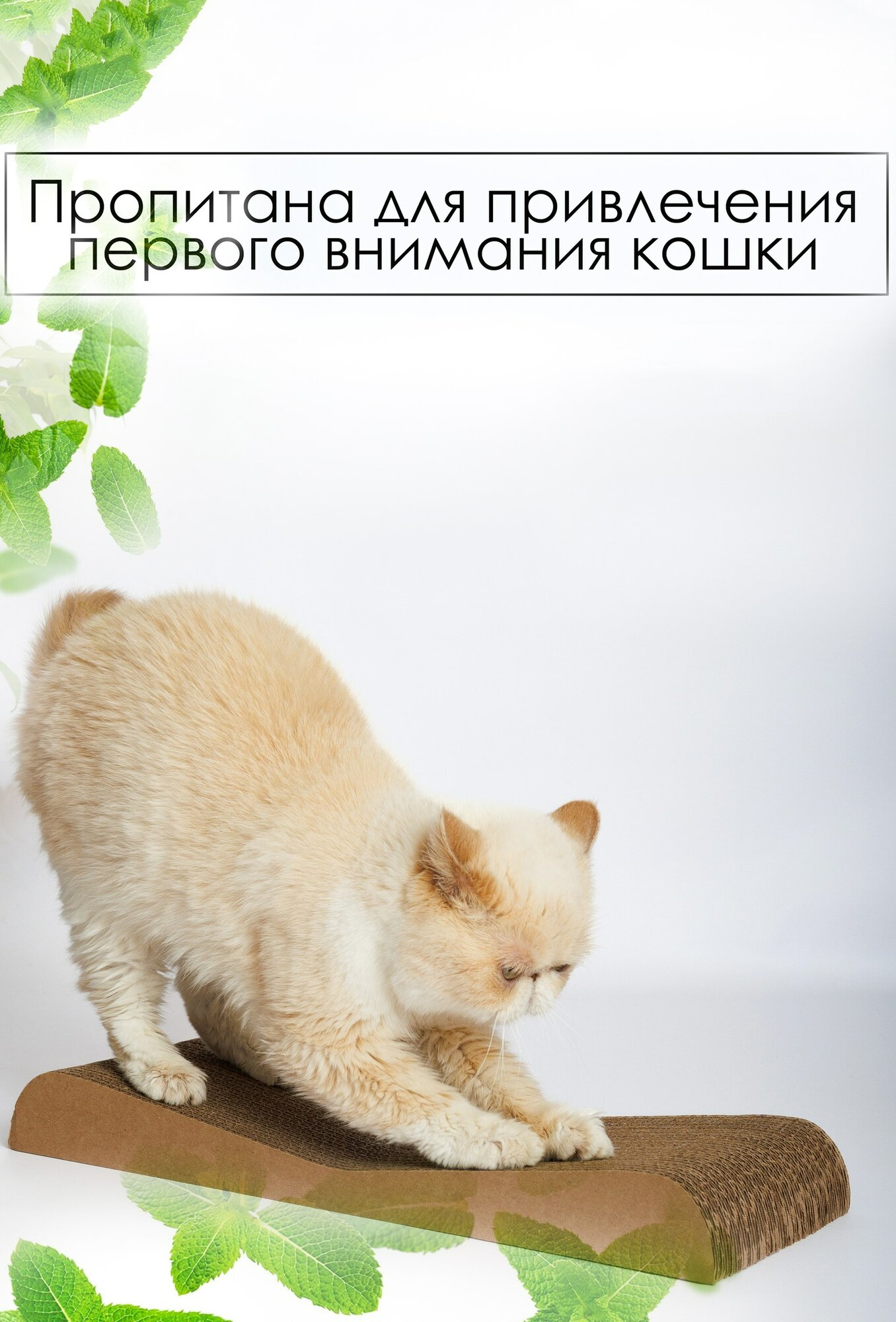 Зверьё Моё Когтеточка-лежанка картон Дюна, 47 × 21 × 5 см