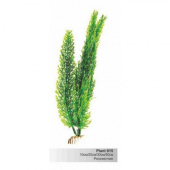 BARBUS 015/20 см Plant зеленое растение