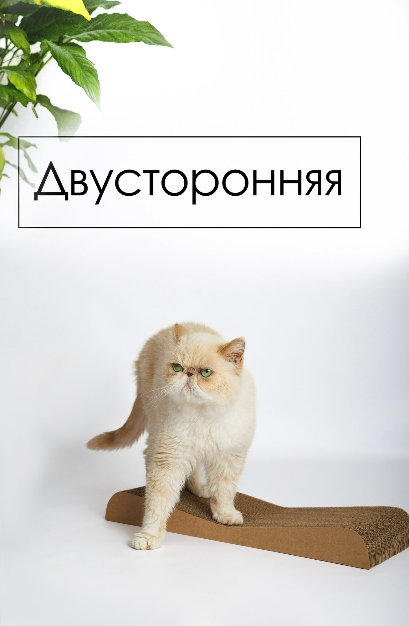 Зверьё Моё Когтеточка-лежанка картон Дюна, 47 × 21 × 5 см