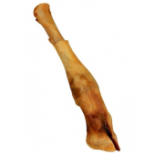 AG1DfPJQzQg3jhbkETY4duvKZqswhvas
