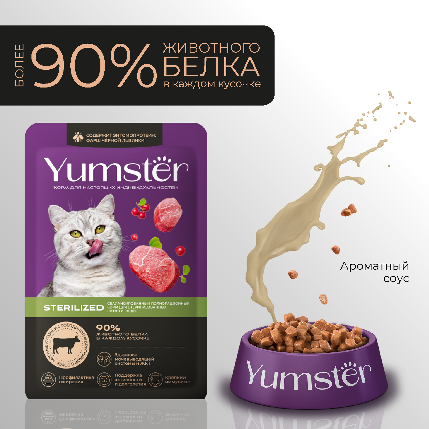 Yumster Sterilized пауч для кошек с говядиной и брусникой в соусе, 85 г