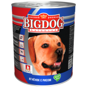 BigDog_9280_-500x500