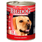 BigDog_0249-500x500