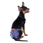 Gamma Трусы для собак L, 200*140мм      