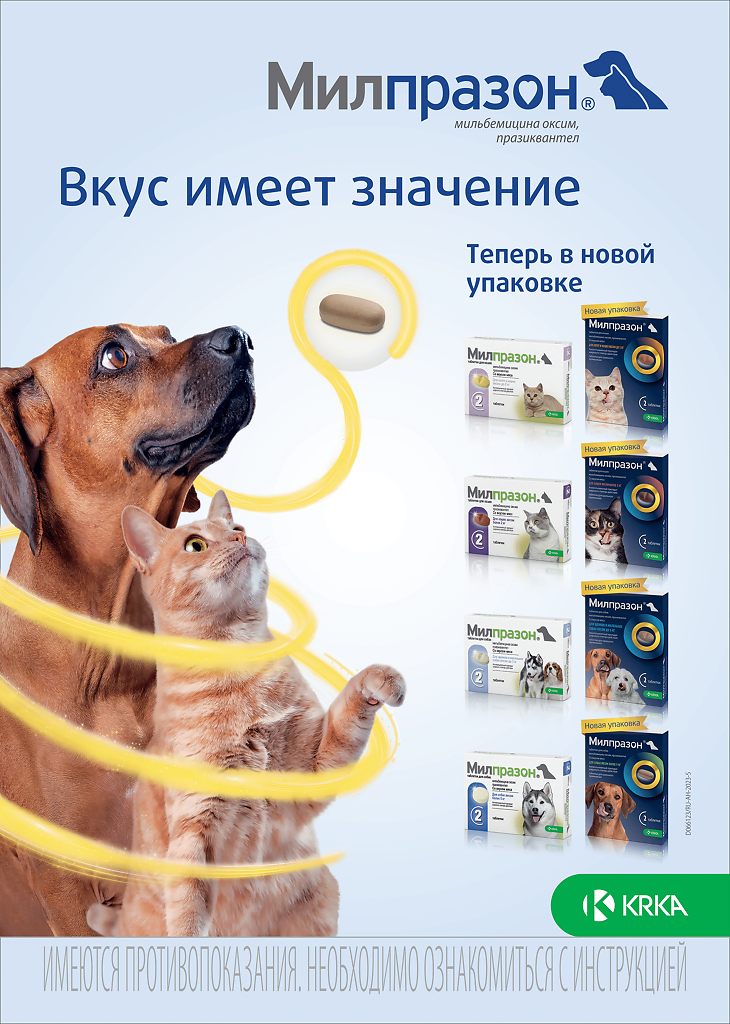 КRКА Милпразон антигельминтик таблетки для кошек более 2 кг 16 мг/40 мг 2 шт