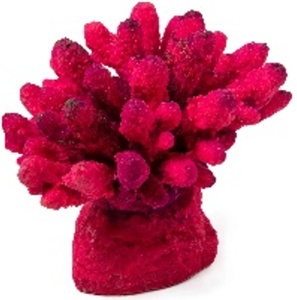 Россия Коралл акрил, 13*10*10