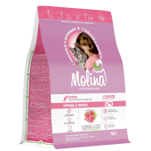 good-4b4fab4a-03c5-11f0-a5a6-b07