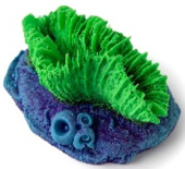 Россия Гониопора, 7*5*4 см