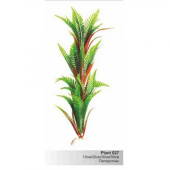 BARBUS 027/10 см Plant зеленое растение