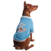 Triol Толстовка Triol-Disney Marvel Ракета XS, размер 20см 