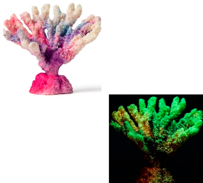 Россия Коралл акабария, 9*5*7персиковый, Фиолетовый, Зеленый