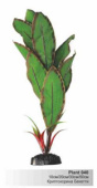 plant040