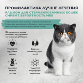 71_cat_sterilised_urinary_care_2