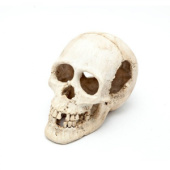 BARBUS Аквариумный декор череп 16,5*10,5*12 см