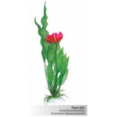 BARBUS 023/30 см Plant с цветком растение