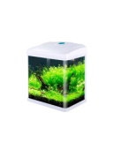 BARBUS Аквариум 9л (LED+top Filtr) БЕЛЫЙ/AQUARIUM 004