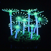 gloxy-fluorescentnaya-akvariumnaya-dekoraciya-anemon-8-5x7x9-5-sm