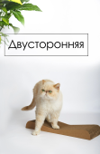 Зверьё Моё Когтеточка-лежанка картон Дюна 47*21*5 см