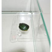 Данко-Зоо Плот для черепах пластик (на стенку аквариума малый) 10выс *15 шир *9 длин см