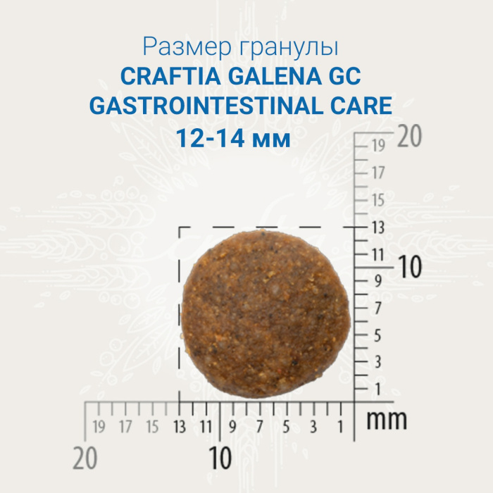 Лечебные корма для собак