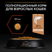 7613036509305_swatch_ru_3