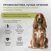 7_dog_adult_m_healthy_skin_shiny_coat_2